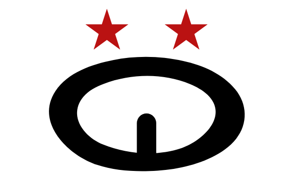 Volin